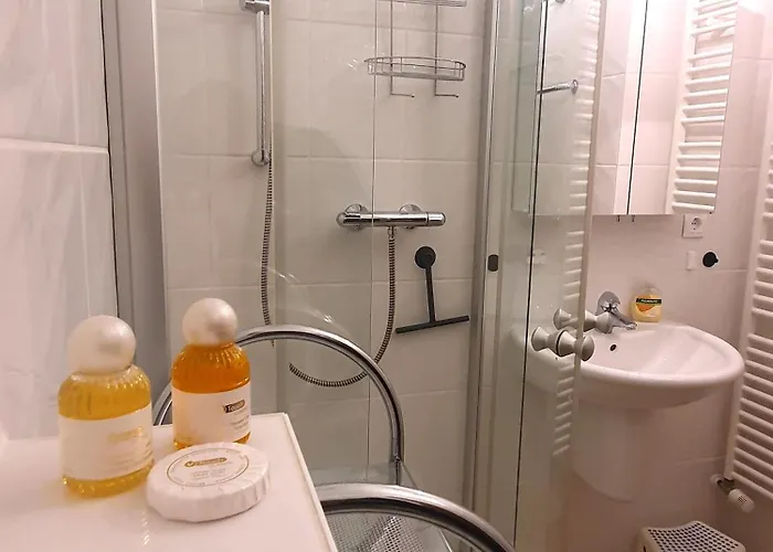 21123 Apartmán Winterberg